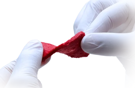 Novabone Strip Bone Graft