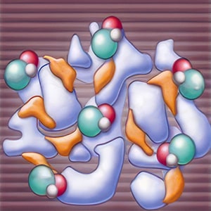 Ion Release bioglass 0-15 minutes