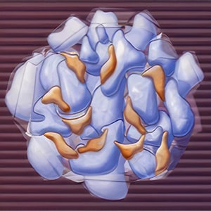 signaling begins 0-2 days