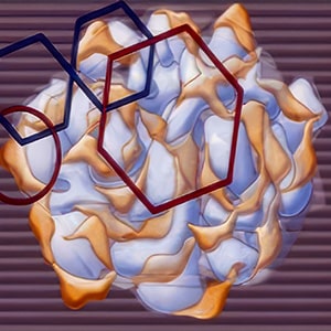 Differations Bioglasses