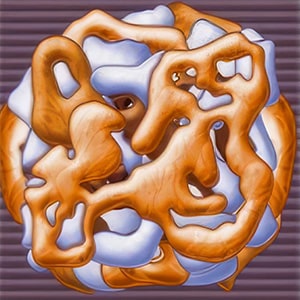 Differations Bioglasses